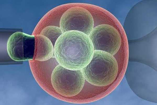 4个胚胎质量不好医生却建议养囊能成功几个？